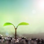 オフトレを成功させるポイント