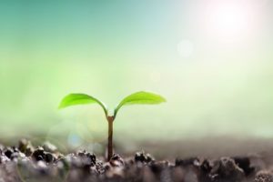 オフトレを成功させるポイント